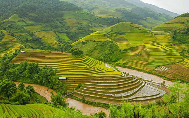 soi cầu Cà Mau